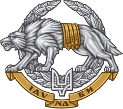 Znak ukrajinských sil zvláštních operací