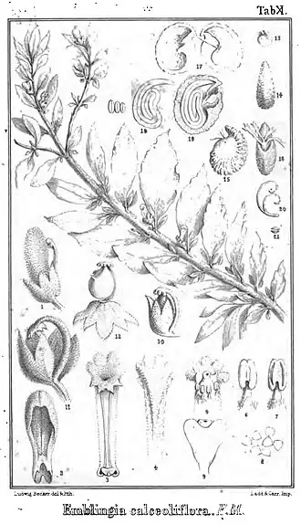 popis obrázku chybí