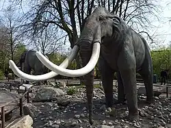 alternativní popis obrázku chybí