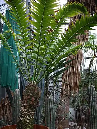 alternativní popis obrázku chybí