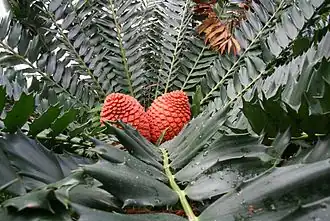 alternativní popis obrázku chybí