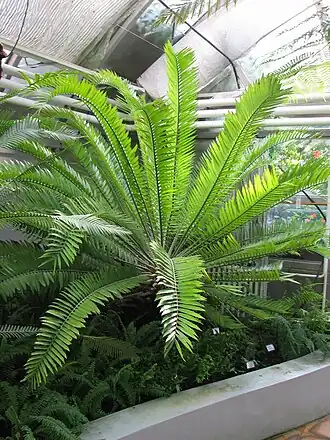 alternativní popis obrázku chybí