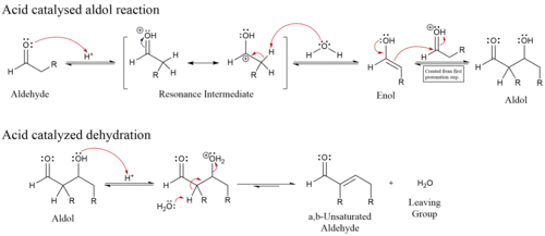 Enolový mechanismus