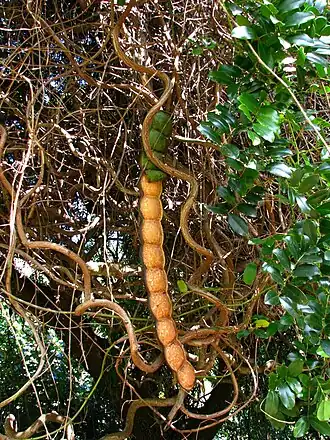 alternativní popis obrázku chybí