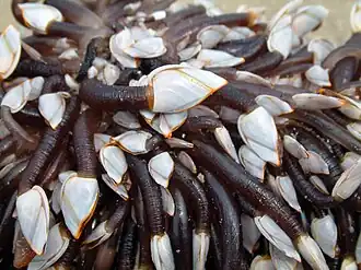 alternativní popis obrázku chybí