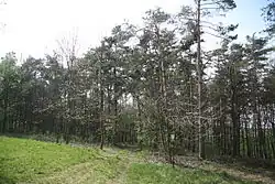 Vstupní část přírodní památky Hájky u Šebkovic