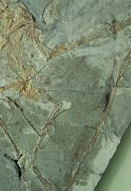 popis obrázku chybí