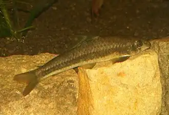 alternativní popis obrázku chybí