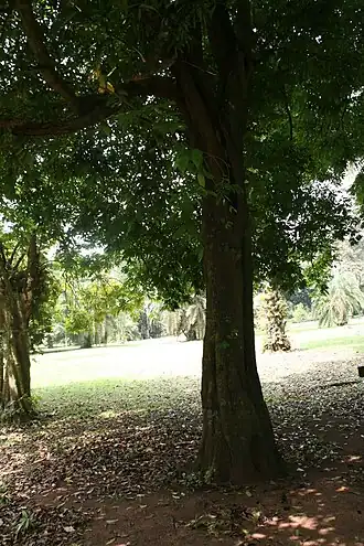 alternativní popis obrázku chybí