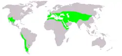 Areál rozšíření