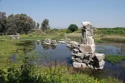 Zbytky Artemidina chrámu v Efesu