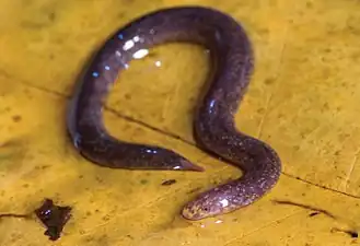 alternativní popis obrázku chybí