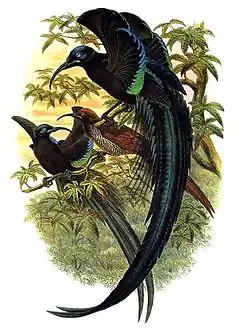 alternativní popis obrázku chybí