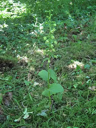 alternativní popis obrázku chybí