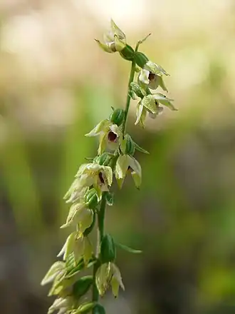 alternativní popis obrázku chybí