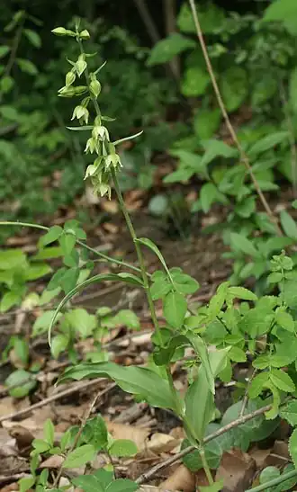 alternativní popis obrázku chybí