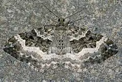 alternativní popis obrázku chybí