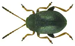 alternativní popis obrázku chybí