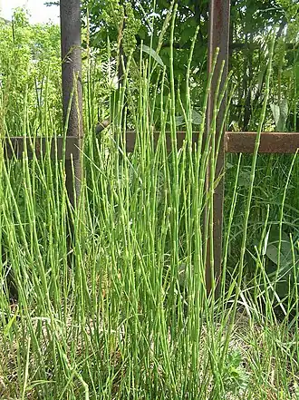 alternativní popis obrázku chybí