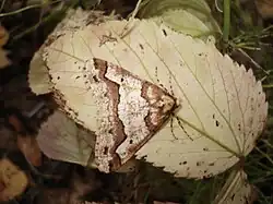 alternativní popis obrázku chybí