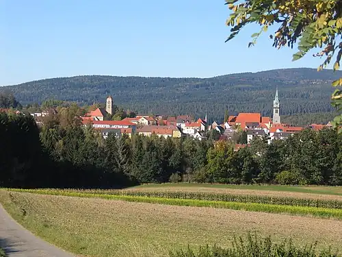Panorama města Erbendorf od Hauxdorfu