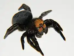 alternativní popis obrázku chybí