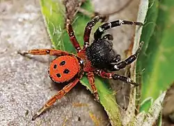 alternativní popis obrázku chybí