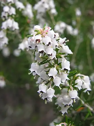 alternativní popis obrázku chybí