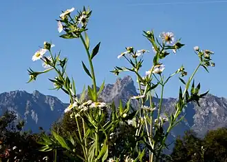 alternativní popis obrázku chybí