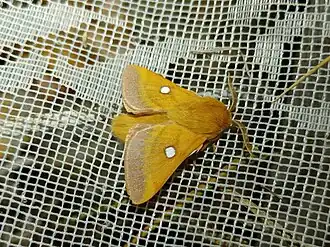 alternativní popis obrázku chybí