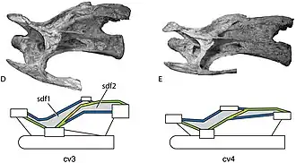 alternativní popis obrázku chybí