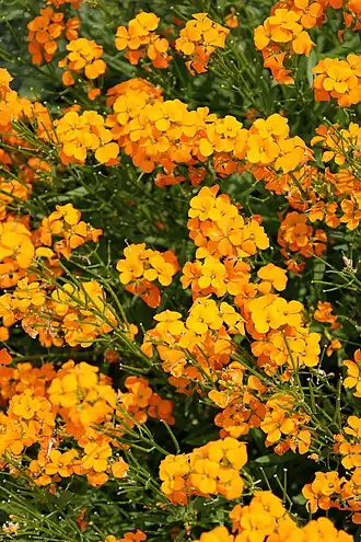 alternativní popis obrázku chybí