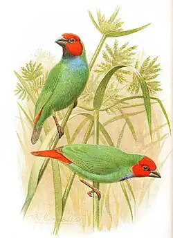 alternativní popis obrázku chybí