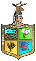 Ciudad Obregón – znak