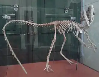 alternativní popis obrázku chybí