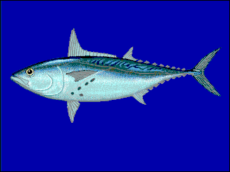 alternativní popis obrázku chybí