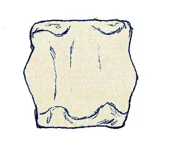 alternativní popis obrázku chybí