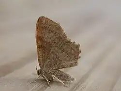 alternativní popis obrázku chybí