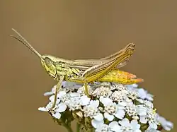 alternativní popis obrázku chybí