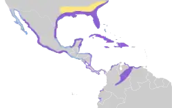 Areál rozšíření