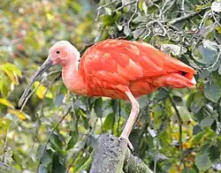 alternativní popis obrázku chybí