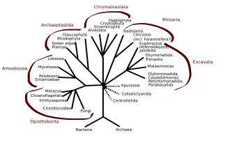 alternativní popis obrázku chybí