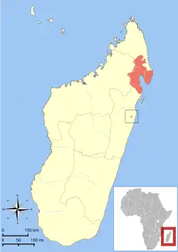 Areál rozšíření