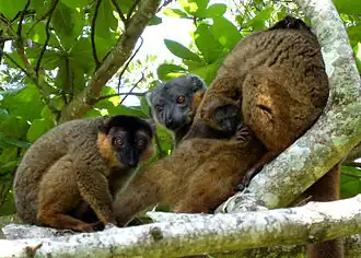 alternativní popis obrázku chybí