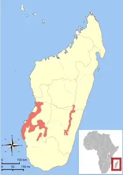 Areál rozšíření