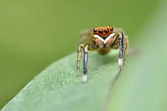 alternativní popis obrázku chybí