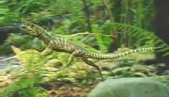 alternativní popis obrázku chybí