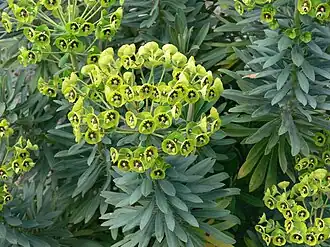 alternativní popis obrázku chybí