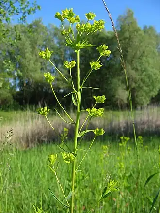 alternativní popis obrázku chybí