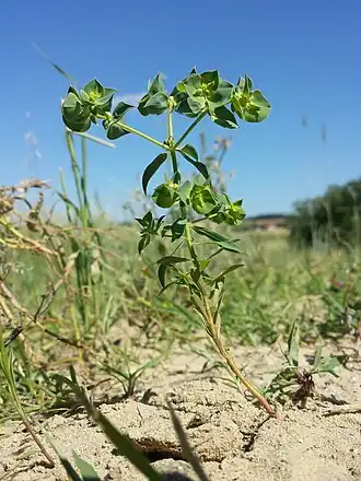 alternativní popis obrázku chybí